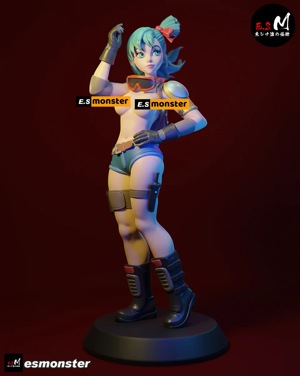 Bulma P2 | Fan Art | 3D Printed Resin Model Garage Kit | *Un-Painted* | ES Monster 4