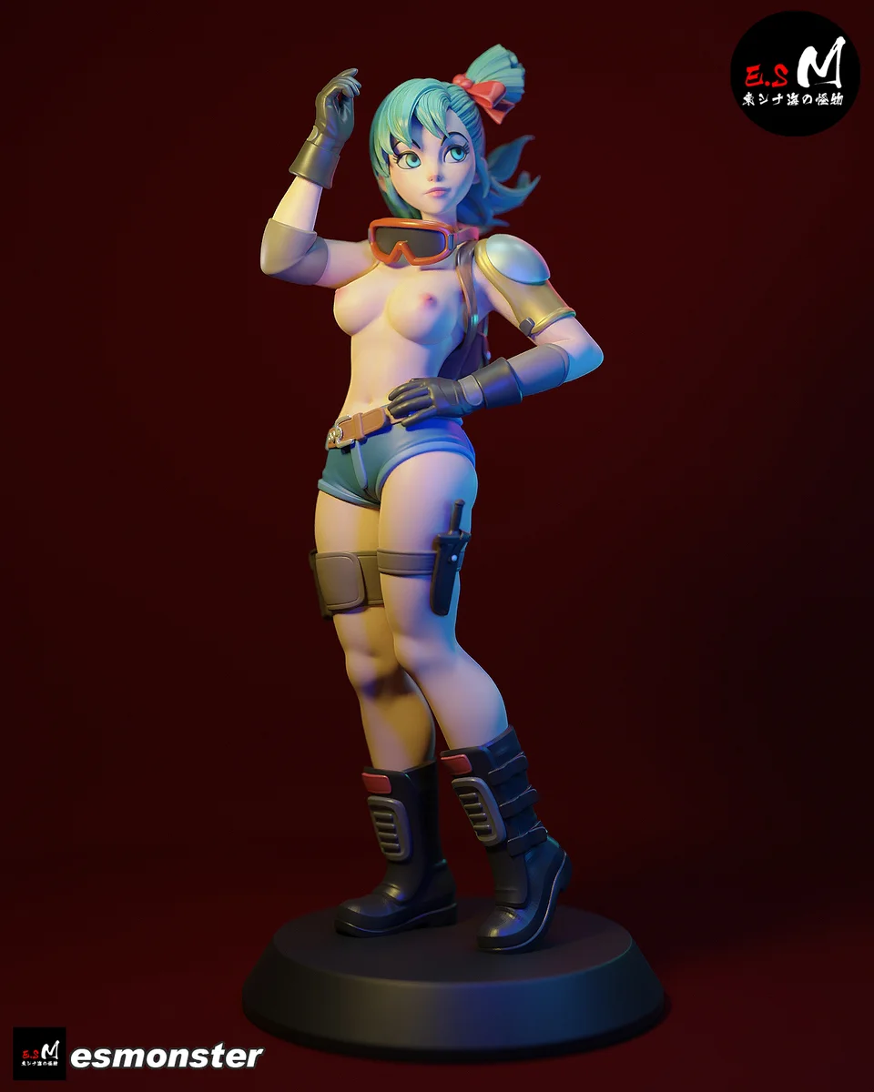 Bulma P2 | Fan Art | 3D Printed Resin Model Garage Kit | *Un-Painted* | ES Monster 5