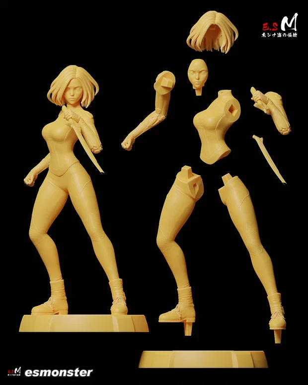 Alita | Fan Art | 3D Printed Resin Model Garage Kit | *Un-Painted* | ES Monster 7